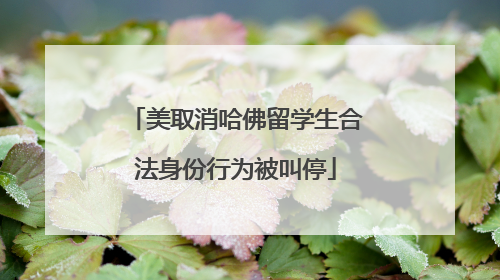 美取消哈佛留学生合法身份行为被叫停