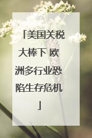 美国关税大棒下 欧洲多行业恐陷生存危机