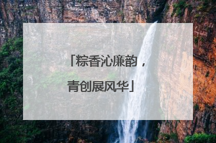 粽香沁廉韵，青创展风华