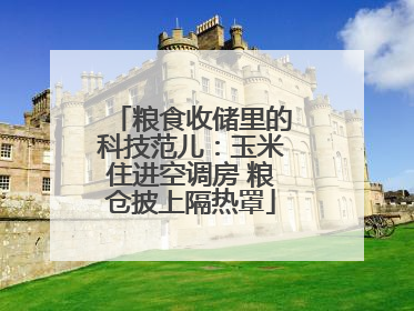 粮食收储里的科技范儿：玉米住进空调房 粮仓披上隔热罩