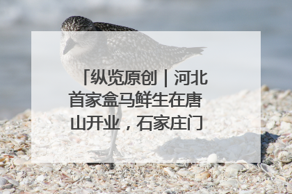 纵览原创｜河北首家盒马鲜生在唐山开业，石家庄门店预计8月开业