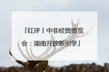 红评丨中非经贸博览会：湖南开放新引擎