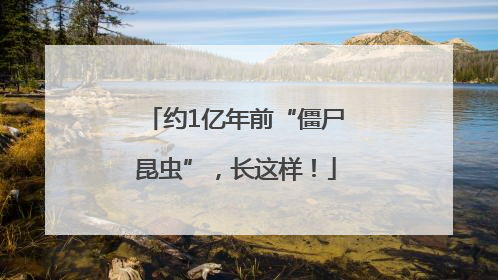 约1亿年前“僵尸昆虫”，长这样！