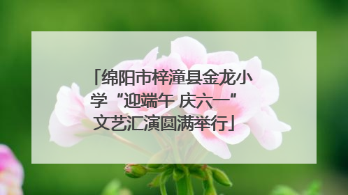 绵阳市梓潼县金龙小学“迎端午 庆六一”文艺汇演圆满举行