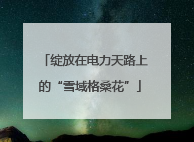 绽放在电力天路上的“雪域格桑花”