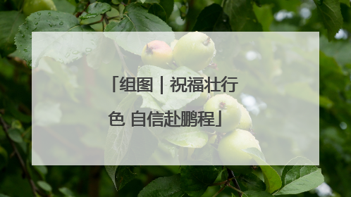 组图｜祝福壮行色 自信赴鹏程