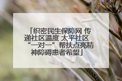 织密民生保障网 传递社区温度 太平社区“一对一”帮扶点亮精神障碍患者希望