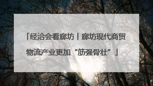经洽会看廊坊丨廊坊现代商贸物流产业更加“筋强骨壮”