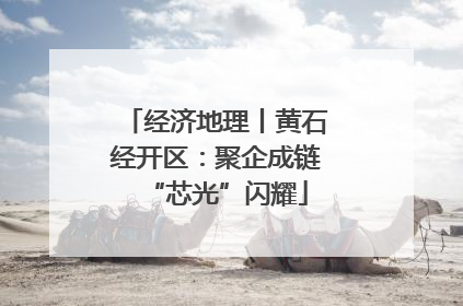 经济地理丨黄石经开区：聚企成链“芯光”闪耀
