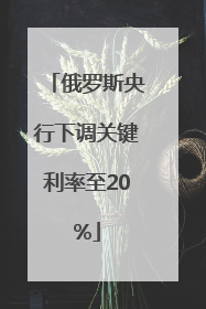 俄罗斯央行下调关键利率至20%