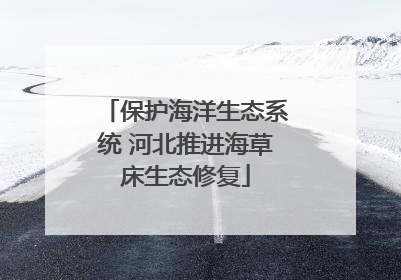 保护海洋生态系统 河北推进海草床生态修复