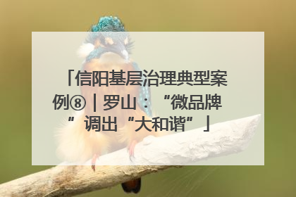 信阳基层治理典型案例⑧｜罗山：“微品牌”调出“大和谐”