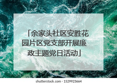 余家头社区安胜花园片区党支部开展廉政主题党日活动