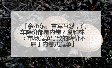 余承东、雷军互怼，汽车降价都是内卷？盘和林：市场竞争导致的降价不属于内卷式竞争