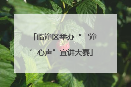 临潼区举办“‘潼’心声”宣讲大赛