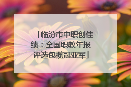 临汾市中职创佳绩：全国职教年报评选包揽冠亚军