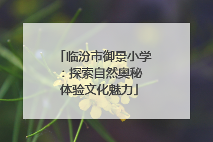 临汾市御景小学：探索自然奥秘 体验文化魅力