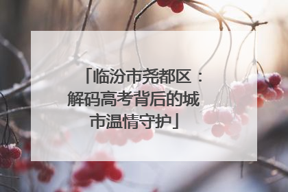 临汾市尧都区：解码高考背后的城市温情守护