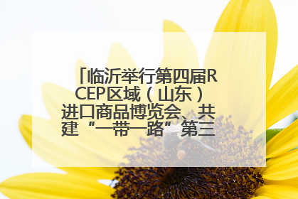 临沂举行第四届RCEP区域（山东）进口商品博览会、共建“一带一路”第三届临沂商城国际采购商大会新闻发布会