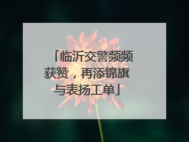 临沂交警频频获赞，再添锦旗与表扬工单