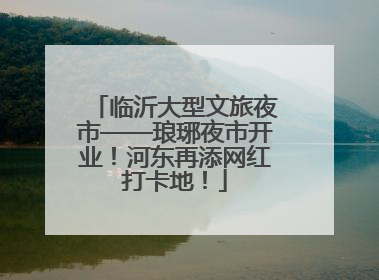 临沂大型文旅夜市——琅琊夜市开业！河东再添网红打卡地！