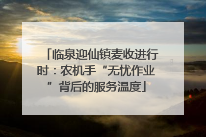 临泉迎仙镇麦收进行时：农机手“无忧作业”背后的服务温度