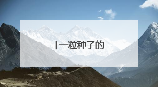 一粒种子的“赶考记”