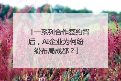 一系列合作签约背后，AI企业为何纷纷布局成都？