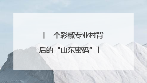 一个彩椒专业村背后的“山东密码”