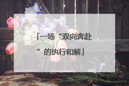 一场“双向奔赴”的执行和解