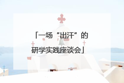 一场“出汗”的研学实践座谈会