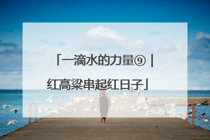 一滴水的力量⑨｜红高粱串起红日子