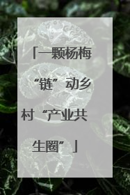 一颗杨梅“链”动乡村“产业共生圈”