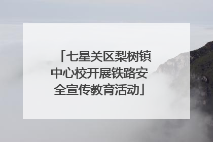 七星关区梨树镇中心校开展铁路安全宣传教育活动