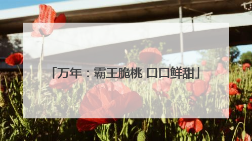万年：霸王脆桃 口口鲜甜