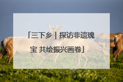 三下乡｜探访非遗瑰宝 共绘振兴画卷