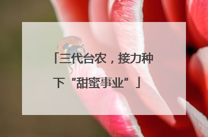 三代台农，接力种下“甜蜜事业”