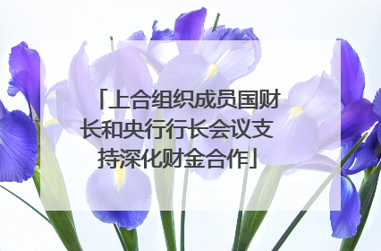上合组织成员国财长和央行行长会议支持深化财金合作