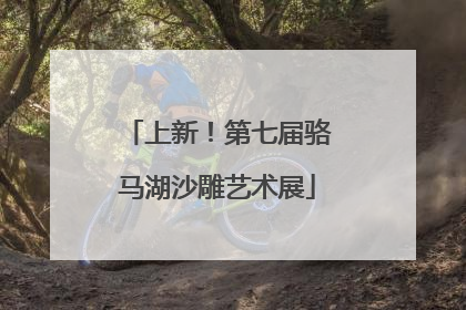 上新！第七届骆马湖沙雕艺术展
