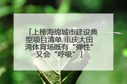 上榜海绵城市建设典型项目清单 重庆大田湾体育场既有“弹性”又会“呼吸”