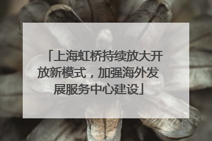 上海虹桥持续放大开放新模式，加强海外发展服务中心建设