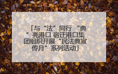 与“法”同行 “典”亮港口 宿迁港口集团组织开展“民法典宣传月”系列活动