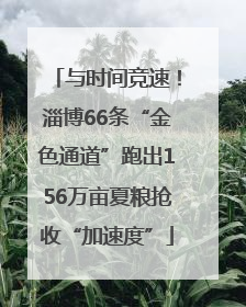 与时间竞速！淄博66条“金色通道”跑出156万亩夏粮抢收“加速度”