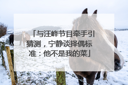 与汪峰节目牵手引猜测，宁静谈择偶标准：他不是我的菜