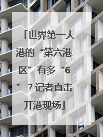 世界第一大港的“第六港区”有多“6”？记者直击开港现场