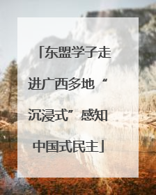 东盟学子走进广西多地“沉浸式”感知中国式民主