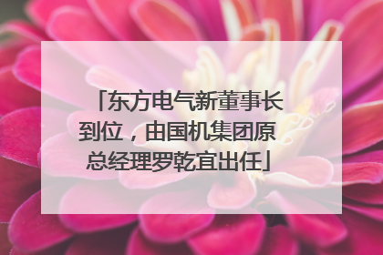 东方电气新董事长到位，由国机集团原总经理罗乾宜出任