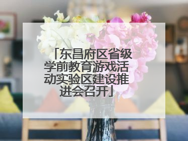 东昌府区省级学前教育游戏活动实验区建设推进会召开