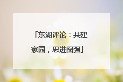 东湖评论：共建家园，思进图强