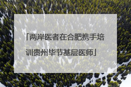 两岸医者在合肥携手培训贵州毕节基层医师